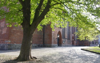 Kontrollmanager Bäume